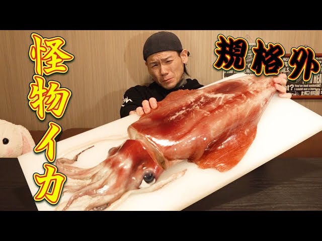 大食い 規格外な巨大イカを丸ごと食す 刺身 巨大イカリング Cookdo 料理動画まとめ